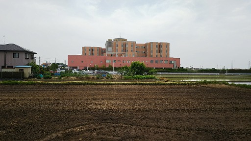 e0020682_1734764.jpg