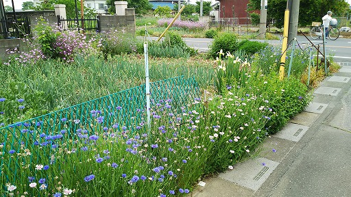 e0020682_17361997.jpg