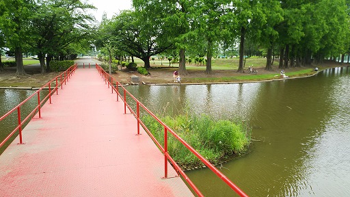 e0020682_174727100.jpg