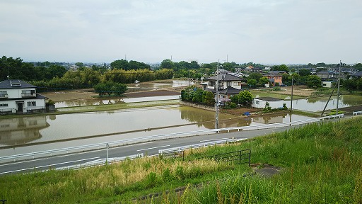 e0020682_18401948.jpg