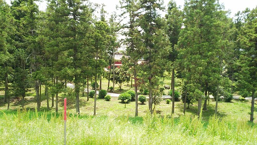 e0020682_18541612.jpg