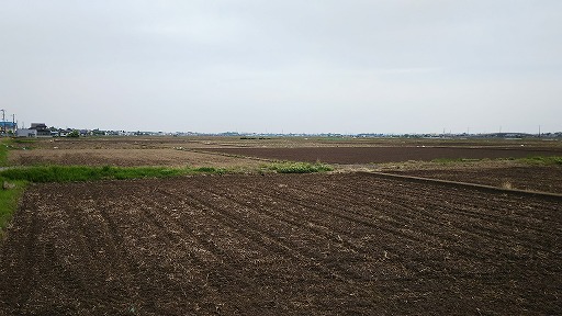 e0020682_1922582.jpg