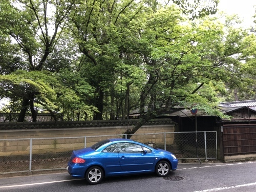 f0333882_09241821.jpeg