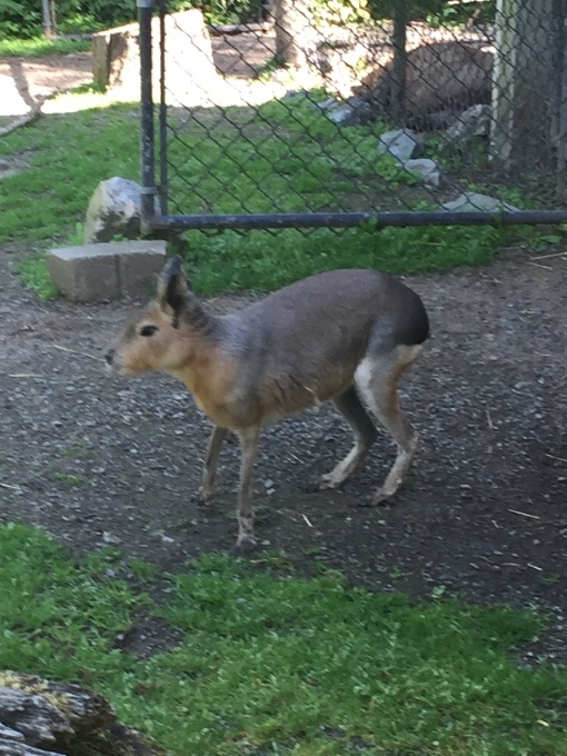f0129786_08381021.jpeg