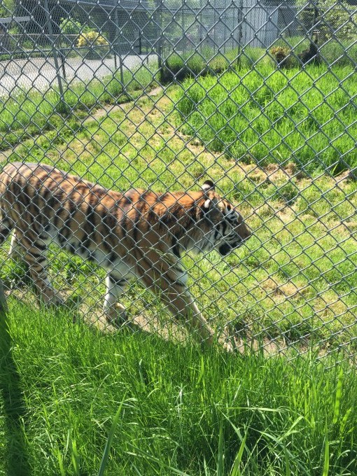 f0129786_08383820.jpeg