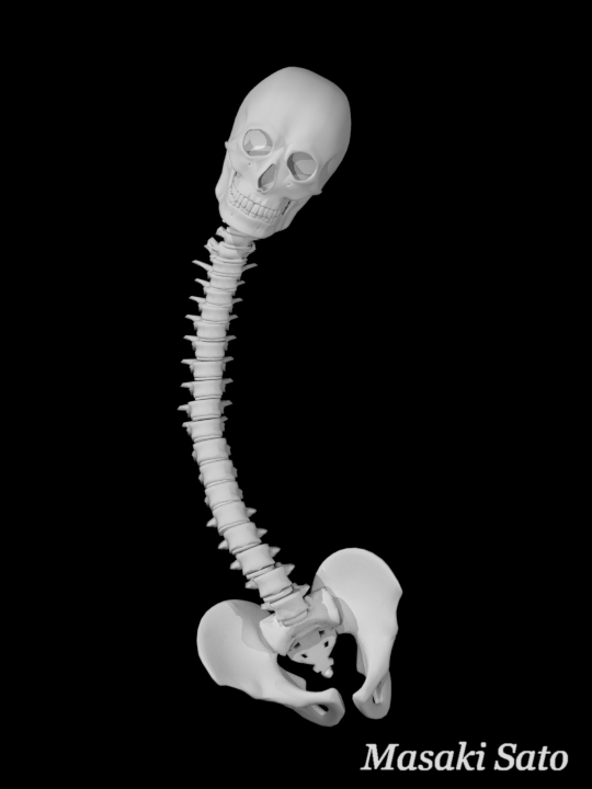 f0074992_15442707.png