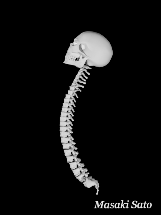 f0074992_15450739.png