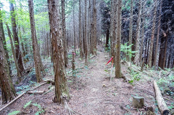 e0176993_07231335.jpg