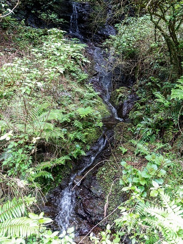 e0176993_07231420.jpg