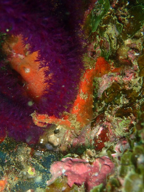 e0115199_13212725.jpg