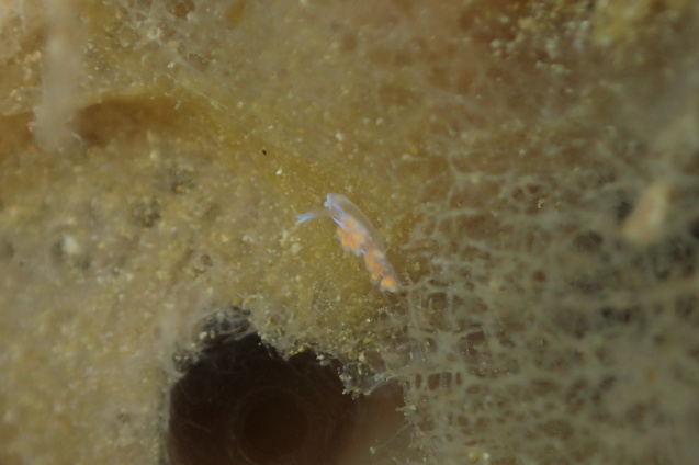 e0115199_13250531.jpg