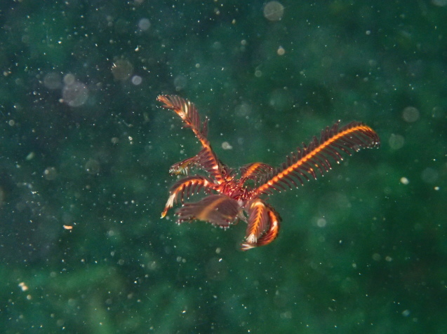 e0115199_13252865.jpg