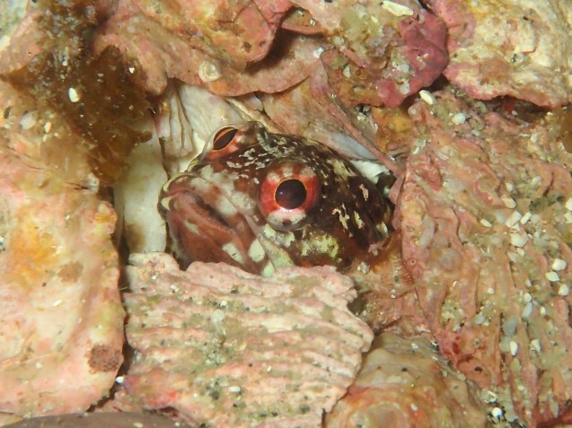 e0115199_17005532.jpg