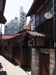 c0039501_09544352.jpg