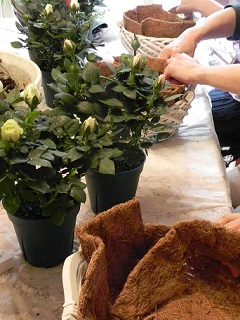 c0152002_10315574.jpg