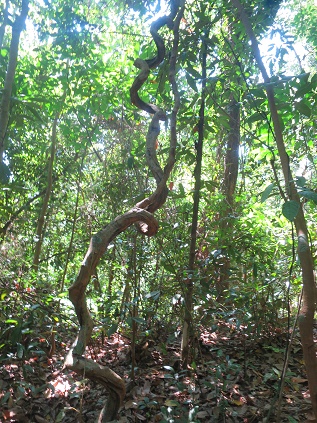 c0212604_2123163.jpg