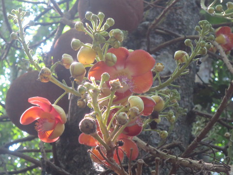 c0212604_21252334.jpg