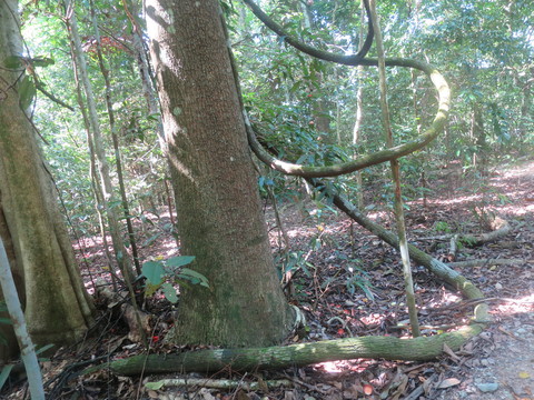 c0212604_21282994.jpg