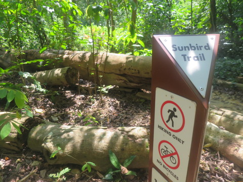 c0212604_2129352.jpg