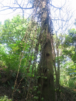 c0212604_2132182.jpg