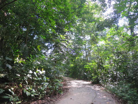 c0212604_7343597.jpg