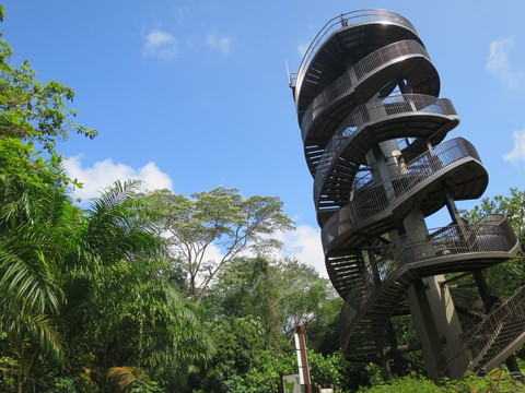 c0212604_7353528.jpg