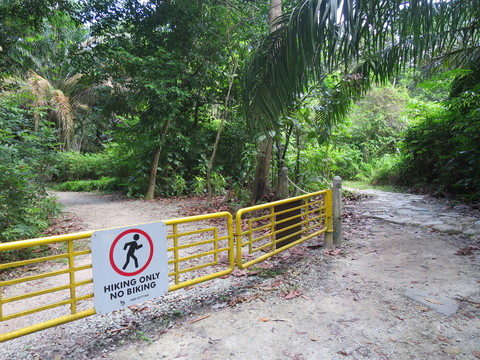 c0212604_735679.jpg