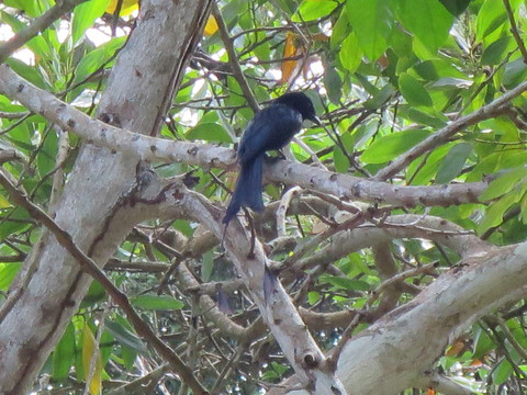 c0212604_7372056.jpg