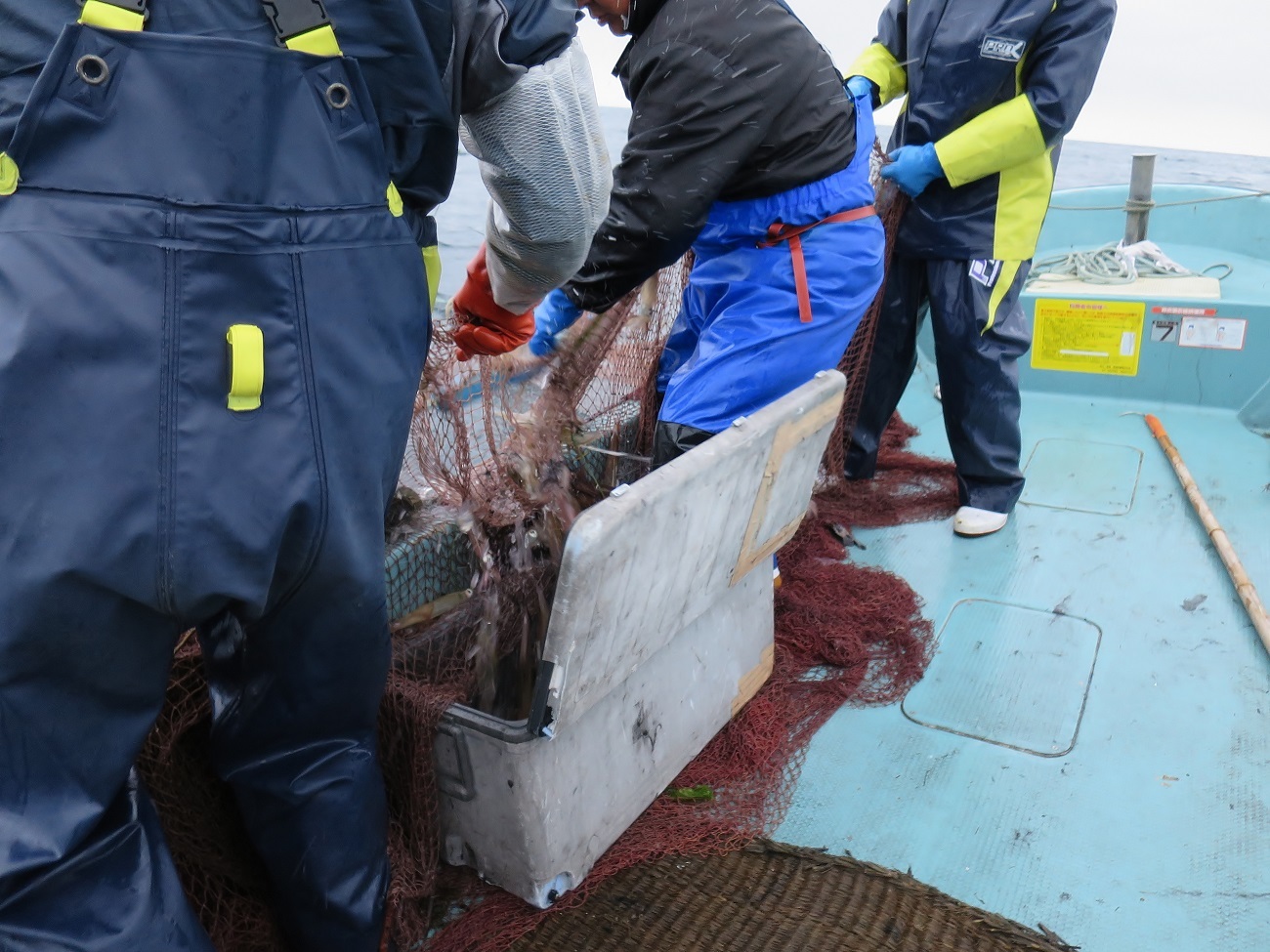 2019－北海道スペシャルⅡ　天売島３日目_b0367008_06432622.jpg