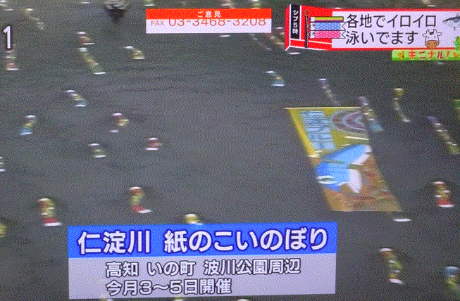 f0231709_14525701.gif