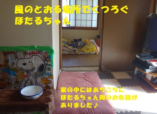 f0121712_16233668.jpg