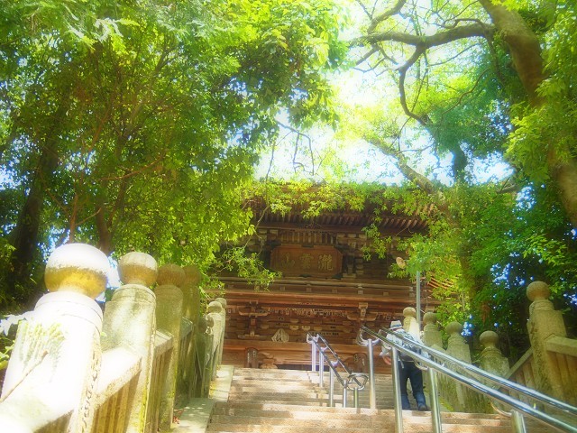 第52番札所 太山寺_d0295818_23301186.jpg