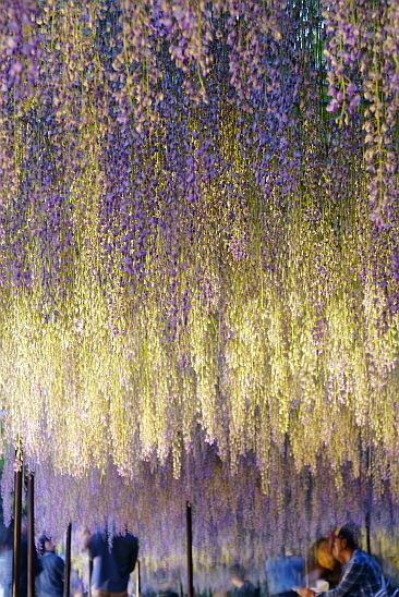 f0037227_19341534.jpg