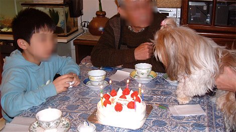 c0045628_17243534.jpg