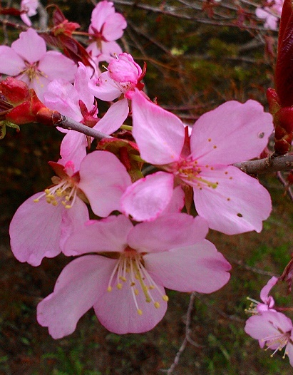c0188229_15461460.jpg