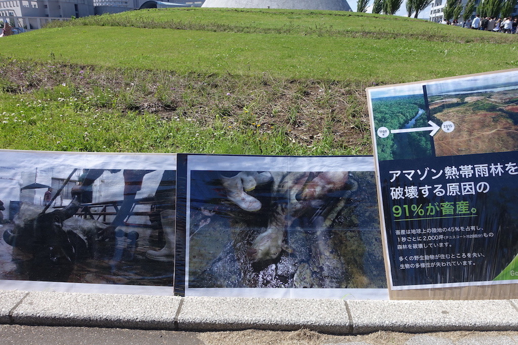 Gwのお台場は人が凄い 肉フェス前でヴィーガン活動 Utamaru S Blog Gwのお台場は人が凄い 肉フェス前でヴィーガン活動 Utamaru S Blog