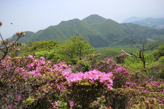 由布岳山行（塚原登山道～東登山道を歩く）！_e0272335_2013098.jpg