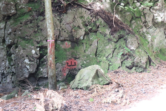 由布岳山行（塚原登山道～東登山道を歩く）！_e0272335_20415291.jpg