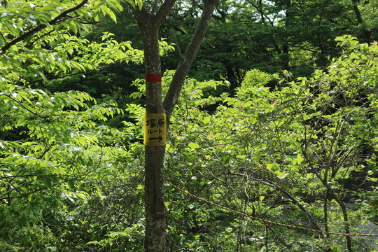 e0272335_20524074.jpg