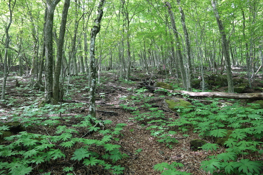 e0272335_20572923.jpg