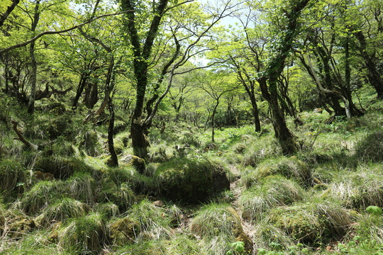 e0272335_2111542.jpg