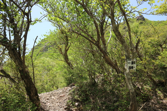 由布岳山行（塚原登山道～東登山道を歩く）！_e0272335_21135068.jpg