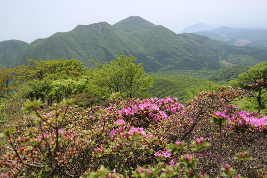 由布岳山行（塚原登山道～東登山道を歩く）！_e0272335_2181171.jpg