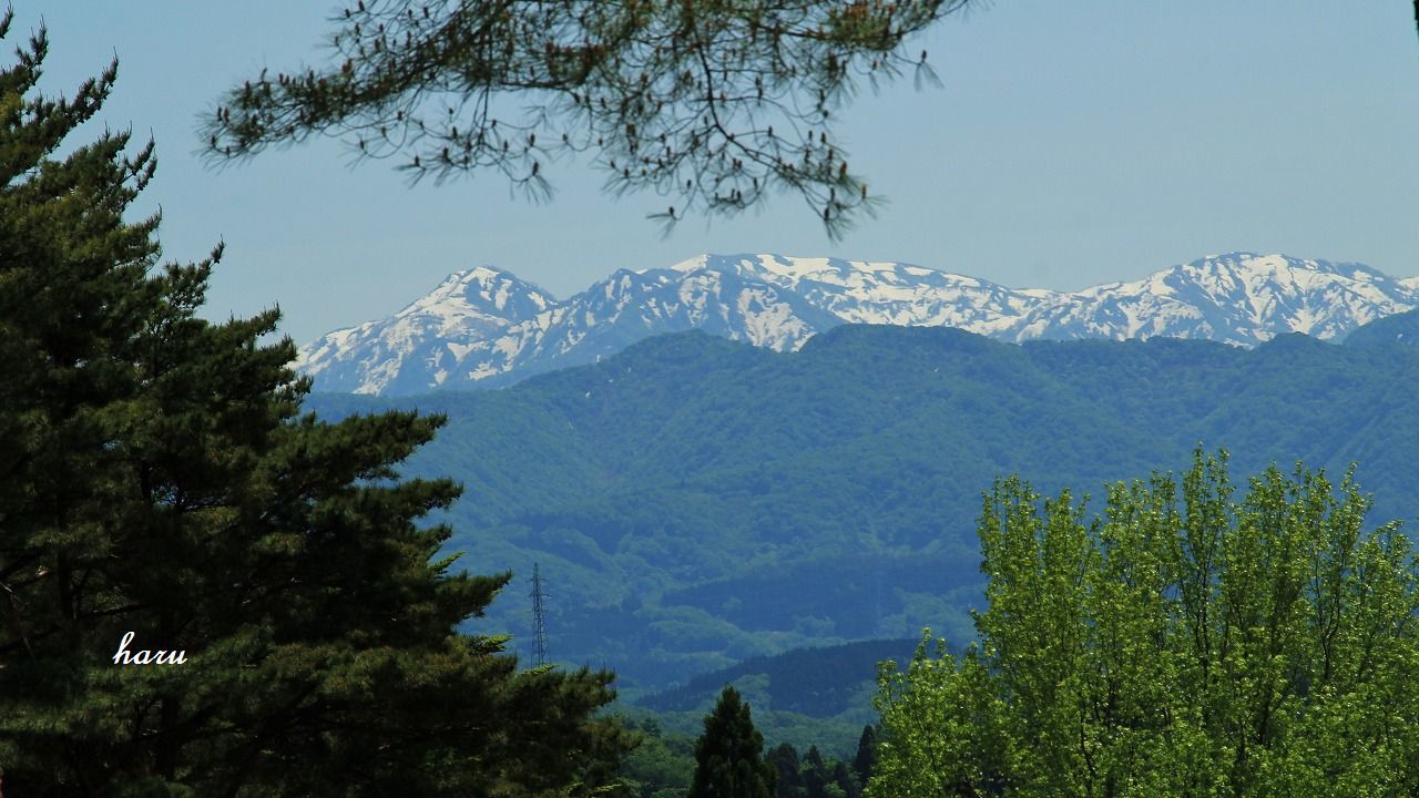 f0297537_15002876.jpg