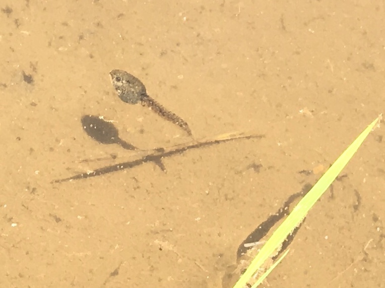 b0330040_22303245.jpeg