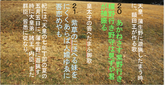 a0237545_14483802.png
