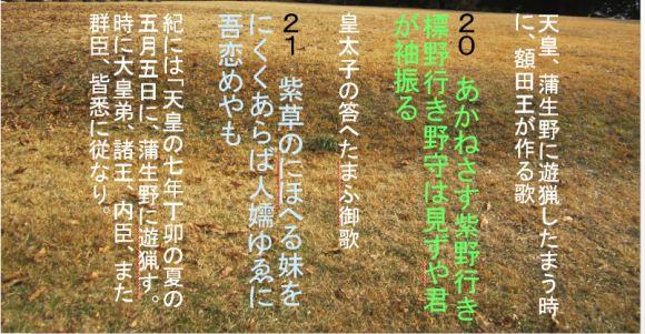 天智天皇御代には優雅な歌、天武天皇御代には壬申の乱の後遺症_a0237545_14483802.png