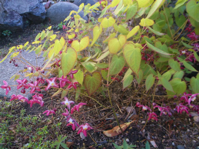 c0006745_05331570.jpg
