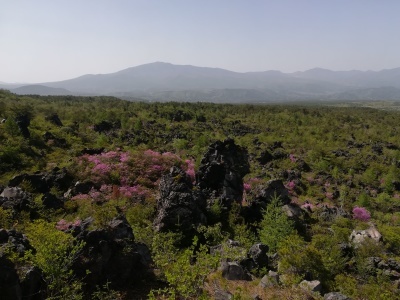 b0126549_19270007.jpg