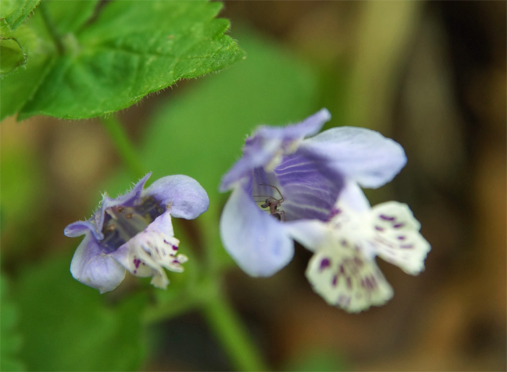 f0214649_04102110.jpg